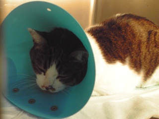 f:id:akiyochan15:20130116181918j:image f:id:akiyochan15:20130116181918j:image