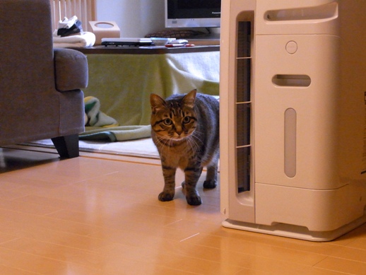 f:id:akiyochan15:20130124152648j:image f:id:akiyochan15:20130124152648j:image