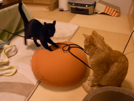 f:id:akiyochan15:20130131013908j:image