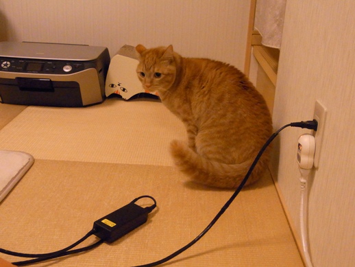 f:id:akiyochan15:20130131014058j:image