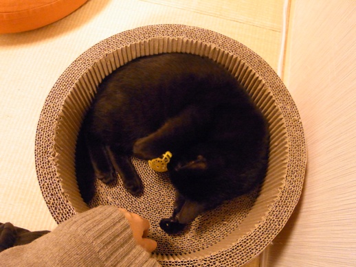 f:id:akiyochan15:20130131014207j:image