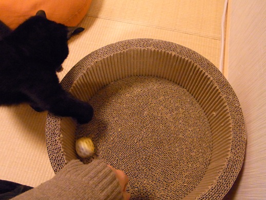 f:id:akiyochan15:20130131014219j:image