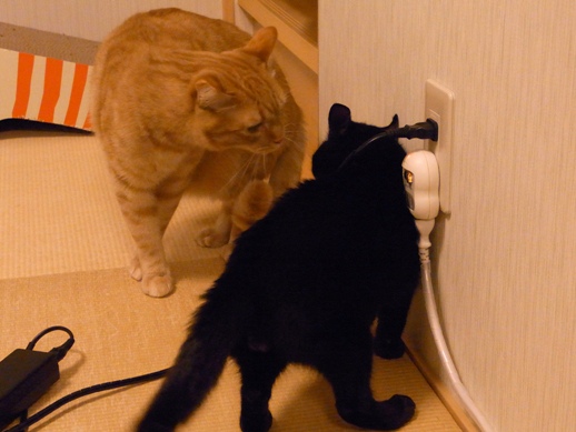 f:id:akiyochan15:20130131014332j:image