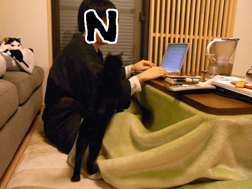 f:id:akiyochan15:20130131165039j:image