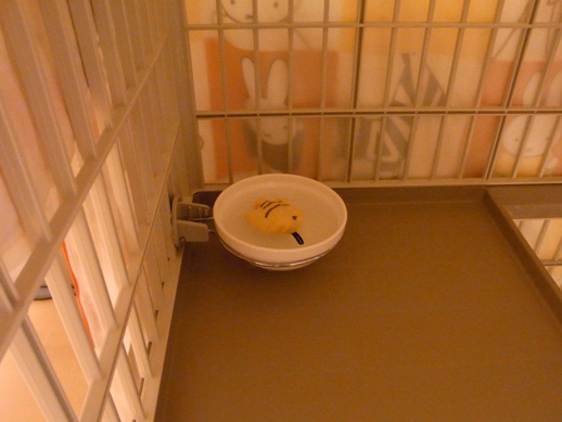 f:id:akiyochan15:20130214070904j:image