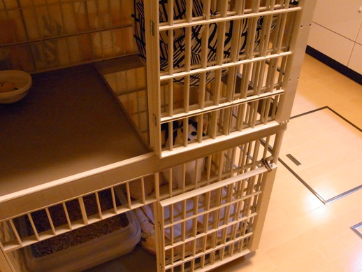 f:id:akiyochan15:20130214070956j:image