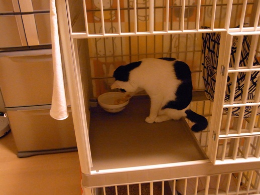 f:id:akiyochan15:20130214071046j:image