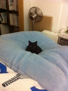 f:id:akiyochan15:20130219013810j:image