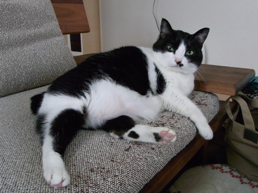 f:id:akiyochan15:20130220160128j:image f:id:akiyochan15:20130220160128j:image