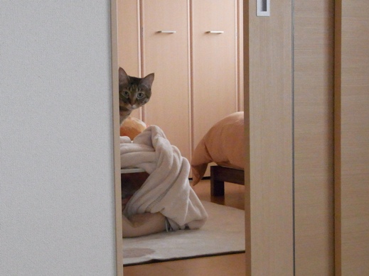 f:id:akiyochan15:20130220172640j:image:w350 f:id:akiyochan15:20130220172640j:image:w350