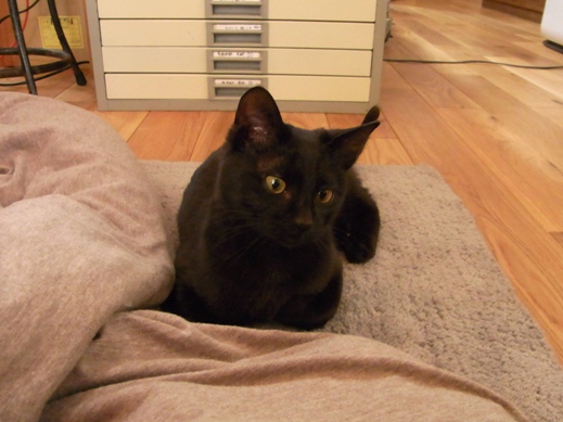 f:id:akiyochan15:20130224115521j:image