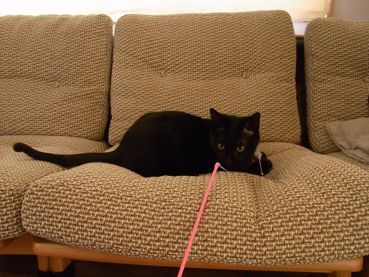 f:id:akiyochan15:20130224122525j:image