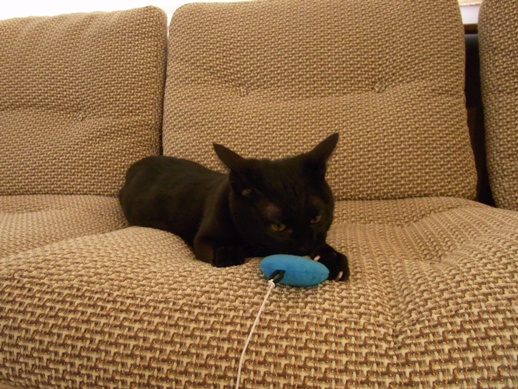 f:id:akiyochan15:20130224122646j:image