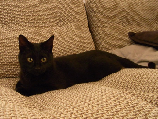 f:id:akiyochan15:20130224125758j:image