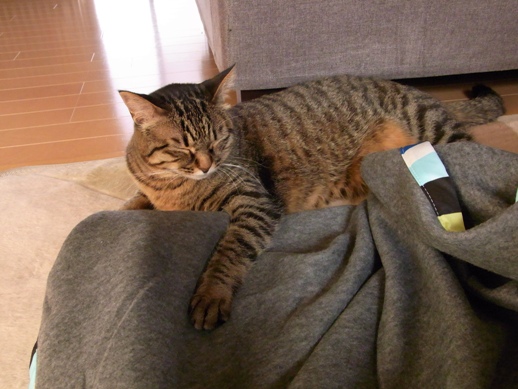 f:id:akiyochan15:20130302161750j:image