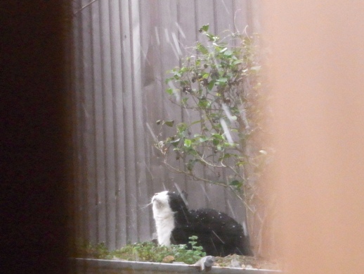 f:id:akiyochan15:20130302171752j:image f:id:akiyochan15:20130302171752j:image