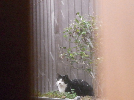 f:id:akiyochan15:20130302171757j:image f:id:akiyochan15:20130302171757j:image