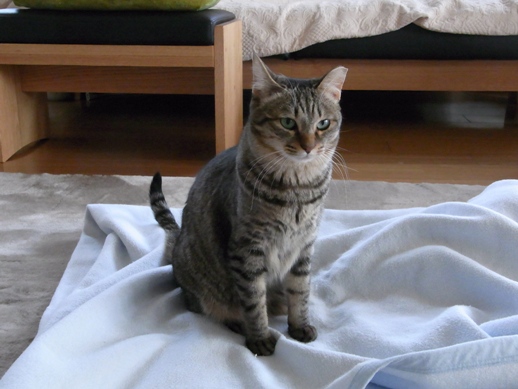 f:id:akiyochan15:20130306144729j:image