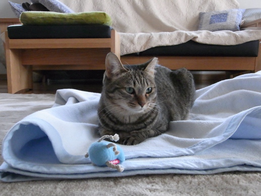 f:id:akiyochan15:20130306145142j:image