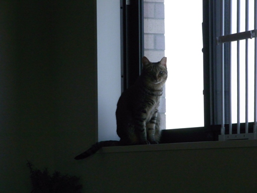 f:id:akiyochan15:20130306154154j:image