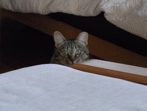 f:id:akiyochan15:20130306162848j:image