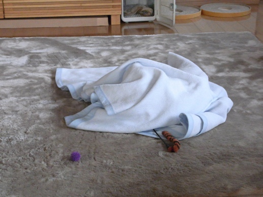 f:id:akiyochan15:20130306173031j:image