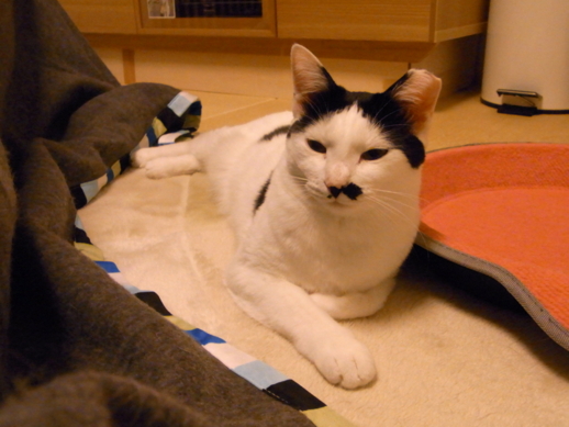 f:id:akiyochan15:20130326032714j:image f:id:akiyochan15:20130326032714j:image