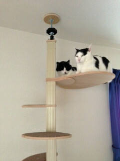 f:id:akiyochan15:20130410160438j:image f:id:akiyochan15:20130410160438j:image