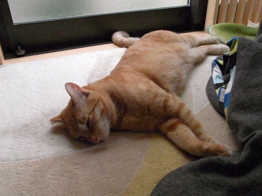 f:id:akiyochan15:20130424165653j:image