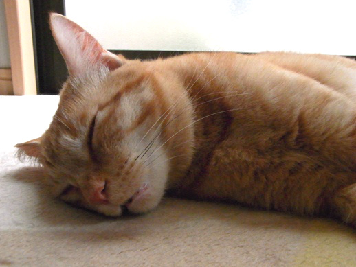 f:id:akiyochan15:20130424165820j:image