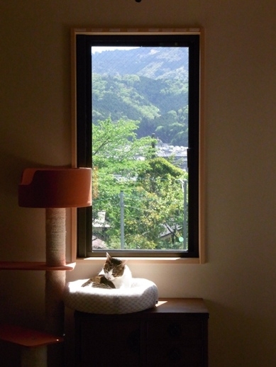 f:id:akiyochan15:20130507105107j:image