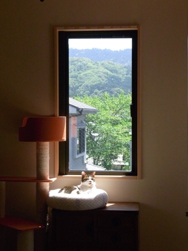 f:id:akiyochan15:20130507105227j:image