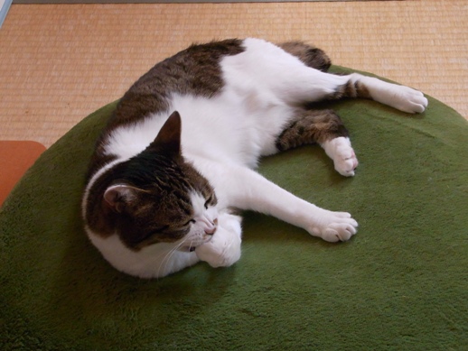 f:id:akiyochan15:20130507105508j:image