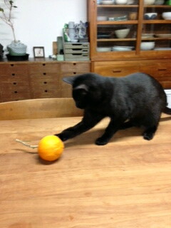 f:id:akiyochan15:20130507191837j:image