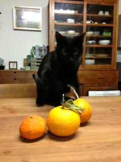 f:id:akiyochan15:20130507191935j:image