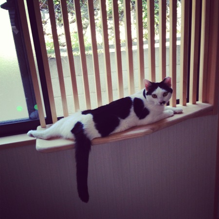 f:id:akiyochan15:20130514105144j:image