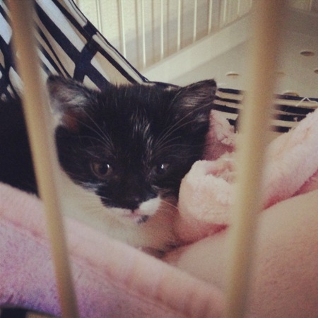 f:id:akiyochan15:20130520165529j:image