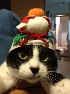 f:id:akiyochan15:20130529001930j:image