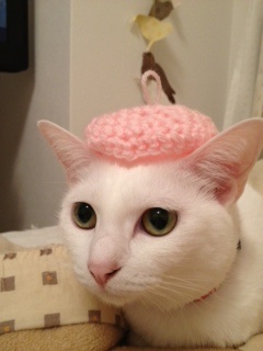 f:id:akiyochan15:20130529001931j:image