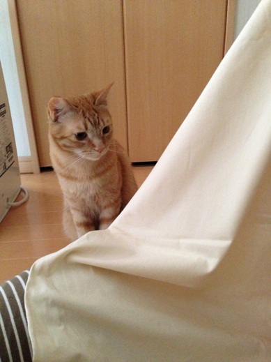 f:id:akiyochan15:20130531164420j:image