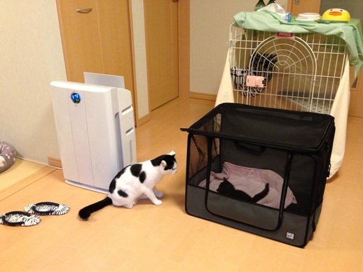 f:id:akiyochan15:20130531172422j:image