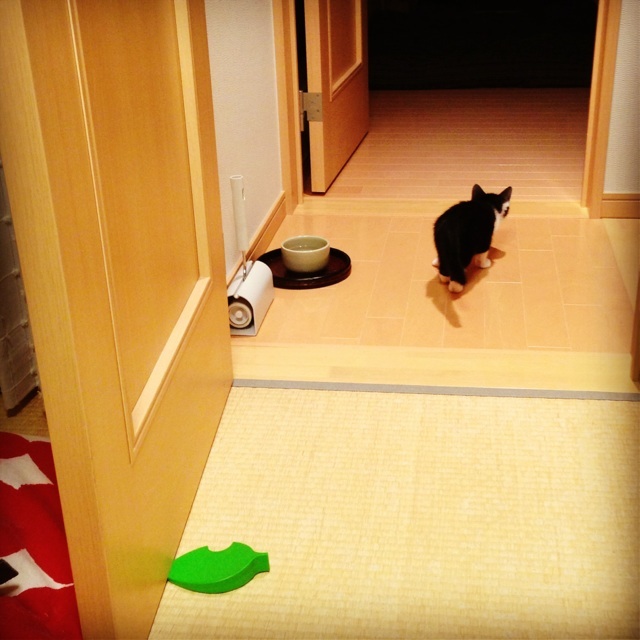 f:id:akiyochan15:20130624233246j:image:w400