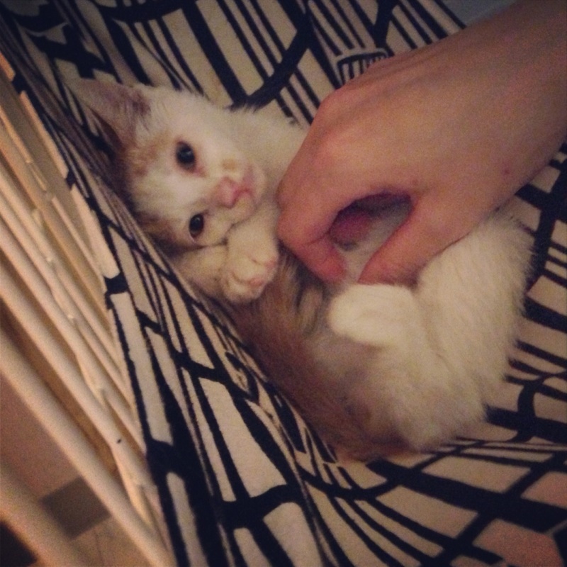 f:id:akiyochan15:20130714154447j:image:w400