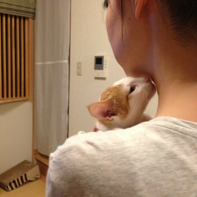 f:id:akiyochan15:20130811213854j:image:w400