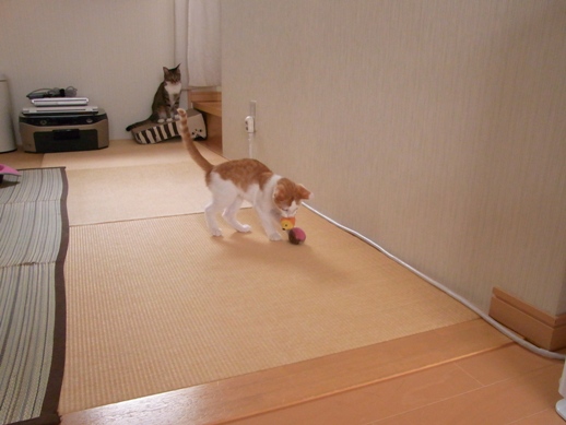 f:id:akiyochan15:20130817103707j:image f:id:akiyochan15:20130817103707j:image