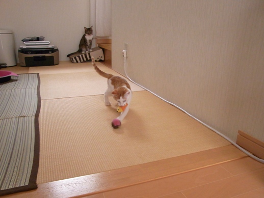 f:id:akiyochan15:20130817103709j:image f:id:akiyochan15:20130817103709j:image