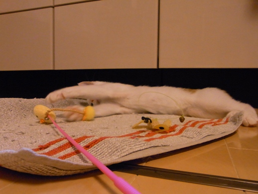 f:id:akiyochan15:20130827224923j:image f:id:akiyochan15:20130827224923j:image