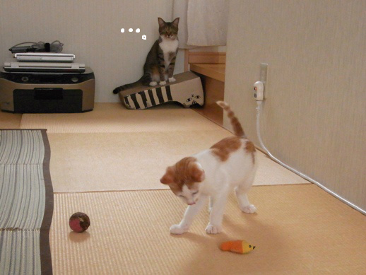 f:id:akiyochan15:20130831141609j:image f:id:akiyochan15:20130831141609j:image