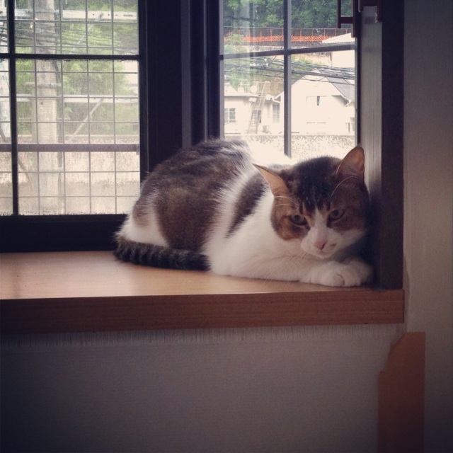 f:id:akiyochan15:20130901151405j:image:w500