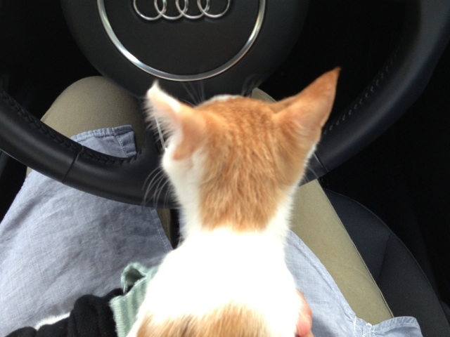 f:id:akiyochan15:20130923182512j:image:w518